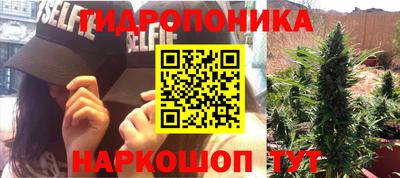 хмурый Чебоксары