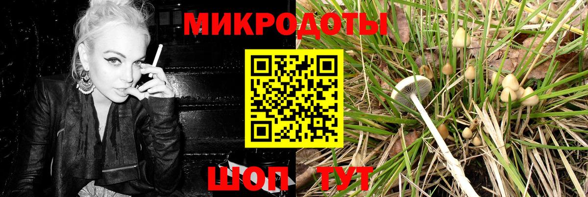 что такое   Вход с VPN  Кудымкар  Псилоцибиновые грибы мицелий 