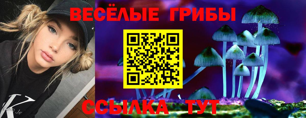 Галлюциногенные грибы MAGIC MUSHROOMS Кудымкар